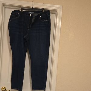 Style & Co. Dark Blue Women’s Skinny Jeans